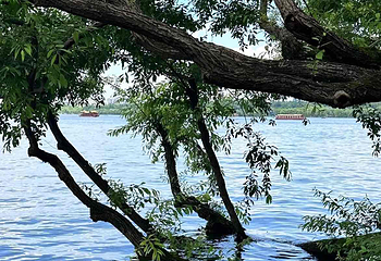 西湖风景名胜区第 361 张图片