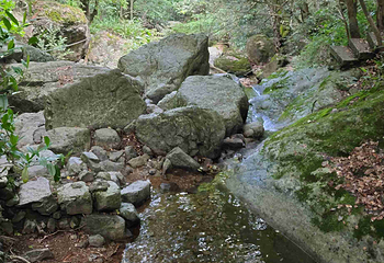 天目山自然保护区第 96 张图片