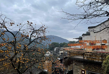婺源篁岭景区第 217 张图片