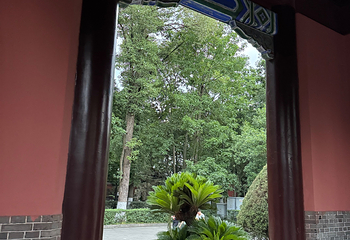 浣花溪公园第 81 张图片