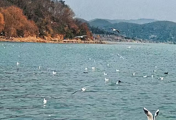 太湖第 49 张图片