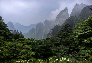 黄山风景区第 184 张图片