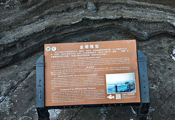 涠洲岛第 208 张图片
