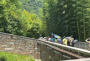 卧龙中华大熊猫苑神树坪基地第 101 张图片