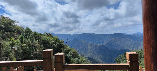 莽山旅游区国家森林公园第 43 张图片
