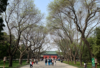 天坛公园第 313 张图片