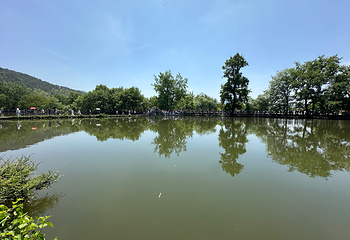 宏村景区第 514 张图片