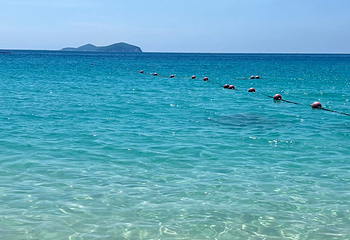 海棠湾第 81 张图片