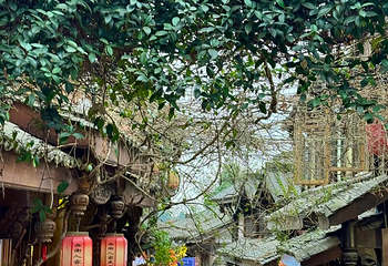 黄龙溪古镇第 43 张图片