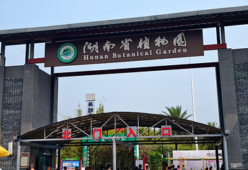 湖南省植物园第 36 张图片