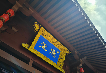 兴庆宫公园第 162 张图片