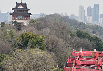 黄鹤楼第 270 张图片