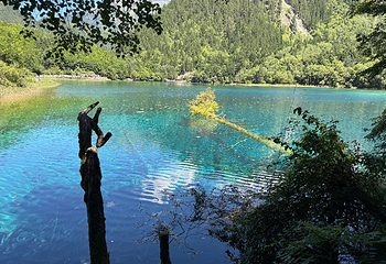 九寨沟风景区第 296 张图片