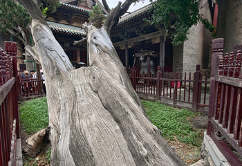 晋祠博物馆第 448 张图片
