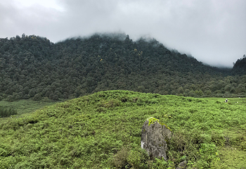 黑竹沟风景名胜区第 34 张图片