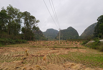 高荡千年布依古寨文化旅游景区第 57 张图片