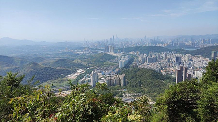 凌云道第 1 张图片
