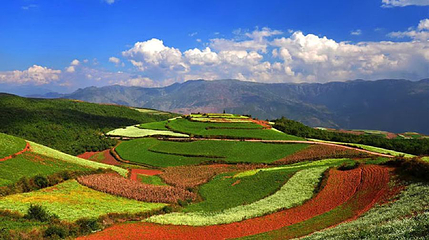 云南东川红土地摄影博物馆第 1 张图片