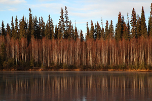 Chena River State Recreation Area