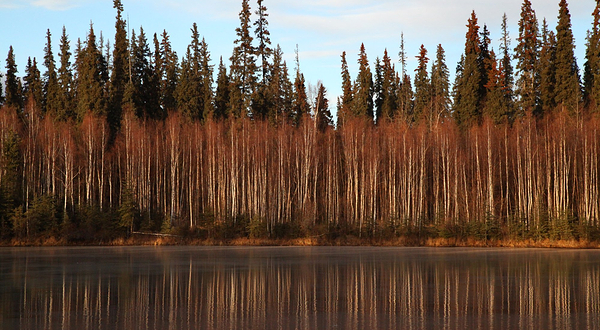 Chena River State Recreation Area