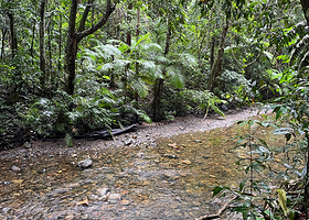 Marrdja Botanical Walk