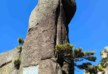 黄山风景区第 322 张图片