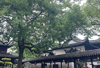 豫园第 160 张图片