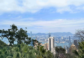 太平山顶第 108 张图片