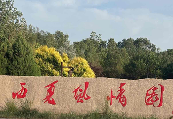西夏风情园第 44 张图片