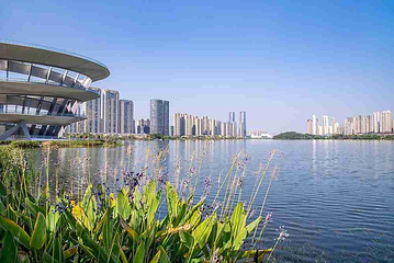 梅溪湖公园第 10 张图片