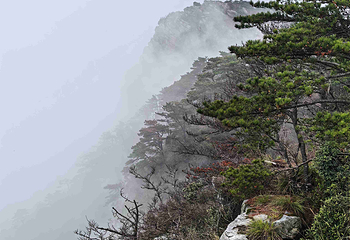 庐山风景名胜区第 266 张图片
