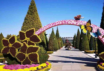 世界花卉大观园第 45 张图片