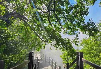 汉中龙头山国际旅游度假区第 103 张图片