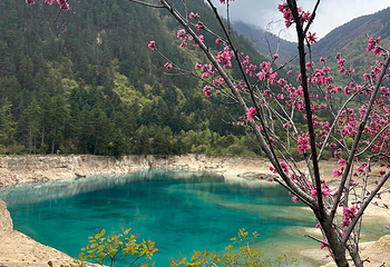 九寨沟风景区第 411 张图片