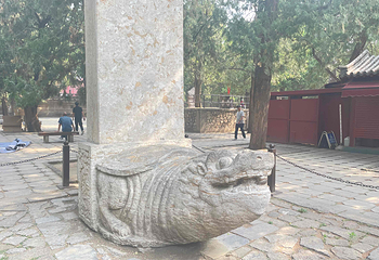 岱庙第 41 张图片