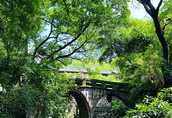鹅岭公园第 69 张图片