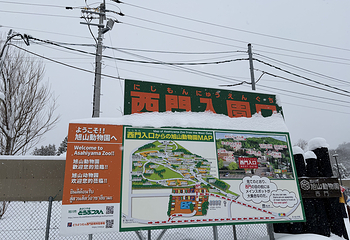 旭山动物园第 27 张图片
