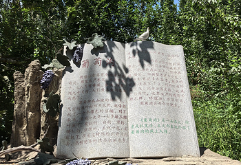 葡萄沟第 57 张图片
