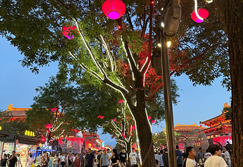 大唐不夜城第 237 张图片