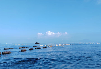巽寮湾第 59 张图片