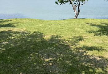 玄武湖景区第 177 张图片