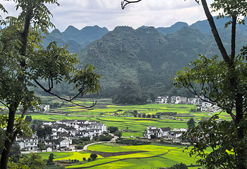 万峰林景区第 46 张图片