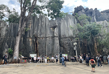 石林风景区第 128 张图片