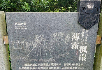 重庆园博园第 99 张图片