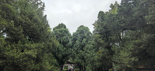 明孝陵第 85 张图片