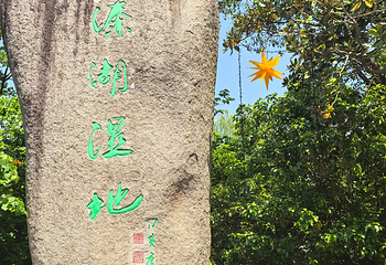 溱湖国家湿地公园第 53 张图片