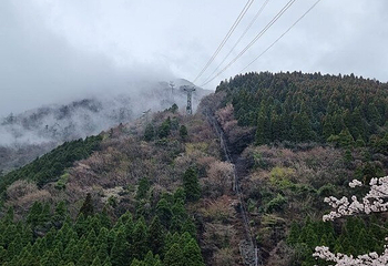 别府空中索道第 16 张图片