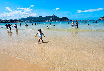 贝壳海滩第 3 张图片