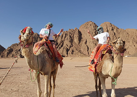 Sinai Safari Adventures