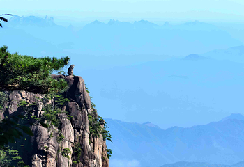 黄山风景区第 152 张图片